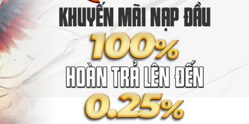 Người mới sẽ được nhà cái chào đón cực kỳ nồng nhiệt với khoản tiền hấp dẫn