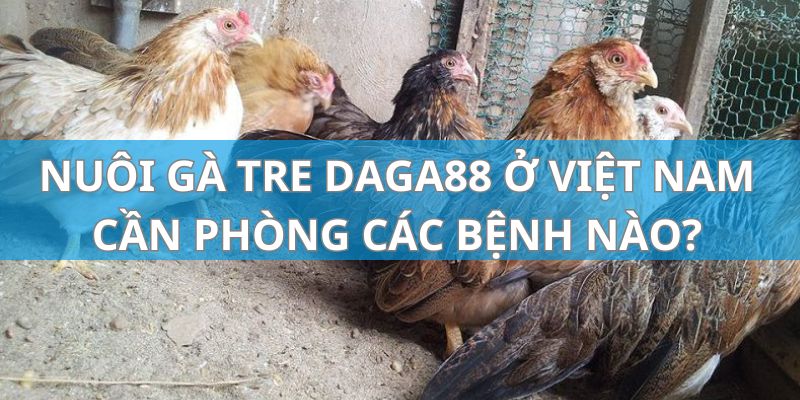 Các loại bệnh và biện pháp phòng khi nuôi gà tre